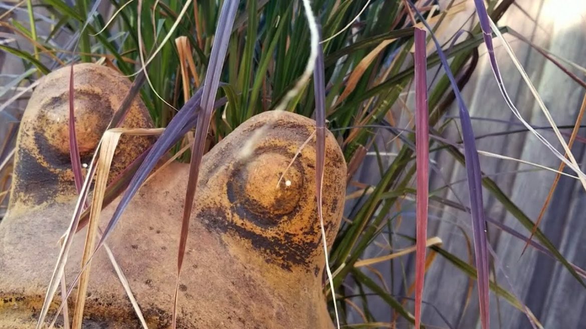 Garden + Nature Quotes Inspire     76th