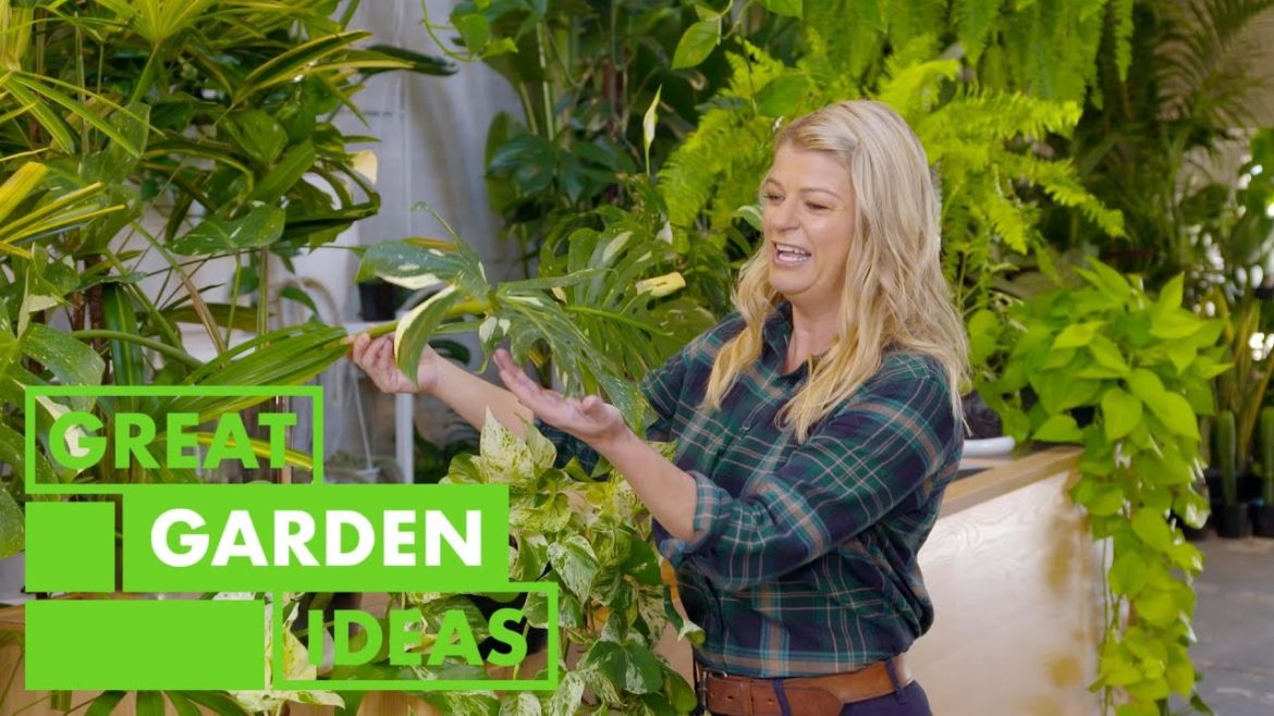 Plant Warehouse | GARDEN | Great Home Ideas Plant Warehouse | GARDEN | Great Home Ideas