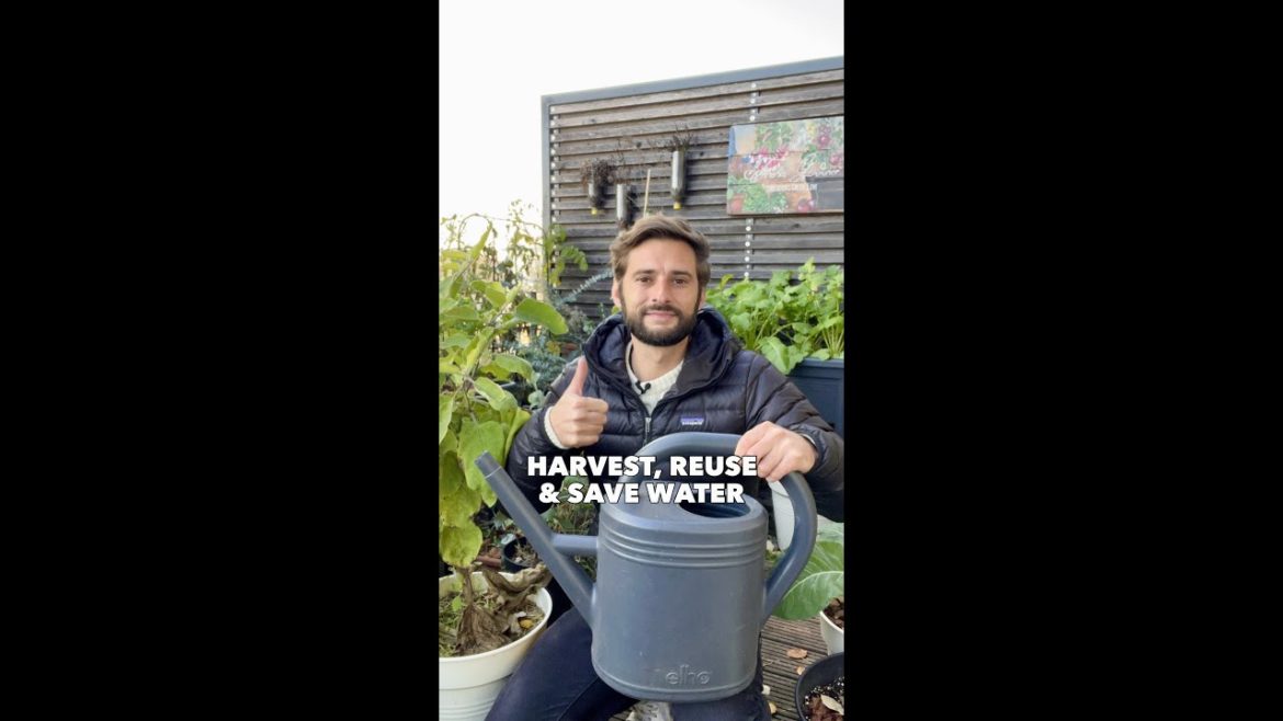 Tips to harvest, reuse & save water for your garden Tips to harvest, reuse & save water for your garden