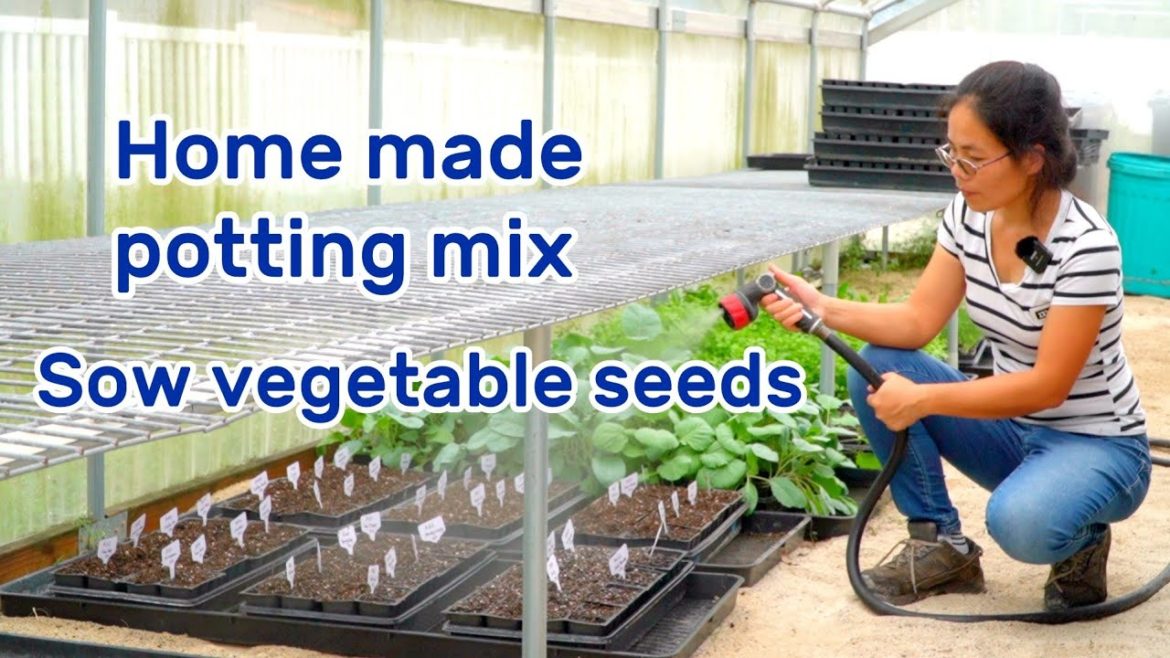 EP 8 Use home made potting mix to start vegetable seeds EP 8 Use home made potting mix to start vegetable seeds