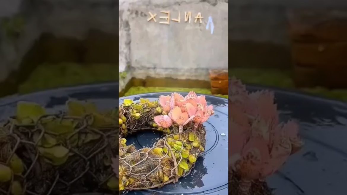 Gardening hack #1๐ฟ๐๏ธ #shorts #ytshorts #viralshorts Gardening hack #1๐ฟ๐๏ธ #shorts #ytshorts #viralshorts