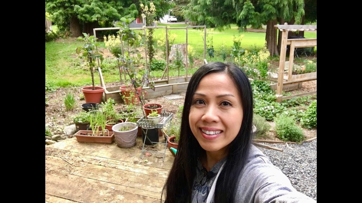 Garden Tour and Garden Tips May 10, 2018 PNW Zone 8b Garden Tour and Garden Tips May 10, 2018 PNW Zone 8b