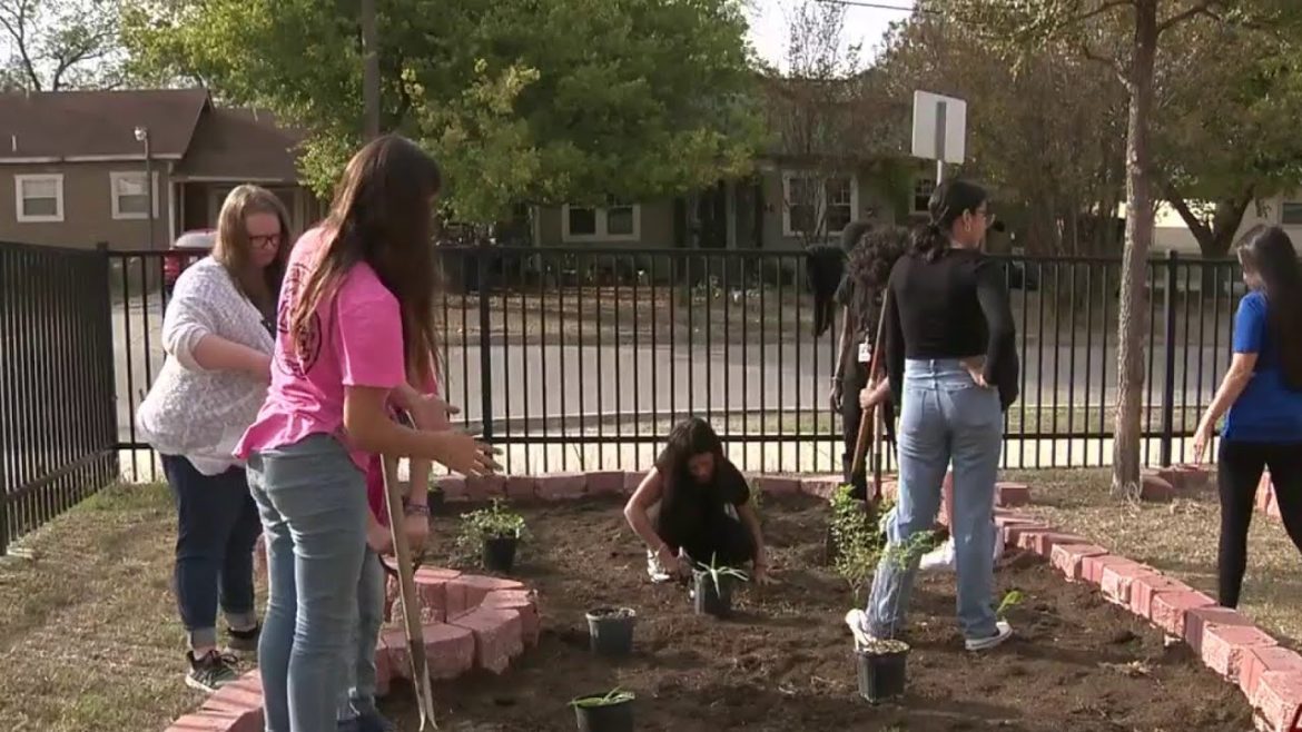 Fenwick Academy students create garden for monarch butterflies