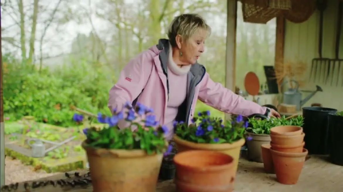 Spring Gardening with Carol Klein🍀Episode 1