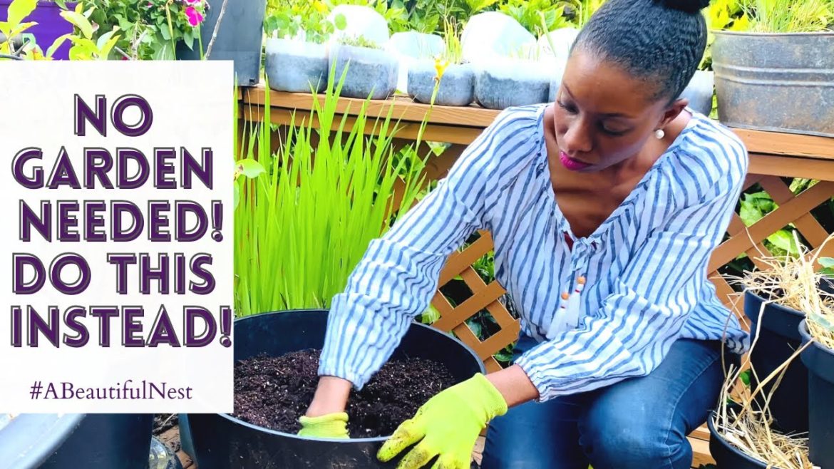 NO GARDEN NEEDED! DO THIS INSTEAD! INFLATION PROOF GARDENING! #25: A BEAUTIFUL NEST HOME & GARDEN