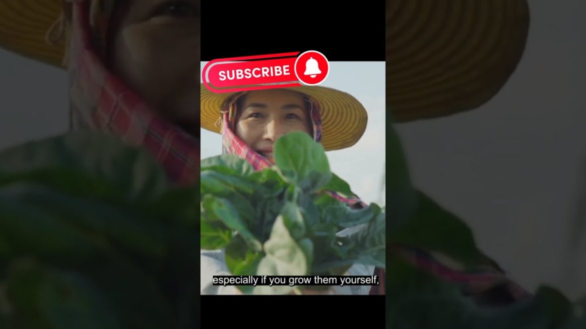 How to Grow Vegetables at Home #shorts How to Grow Vegetables at Home #shorts