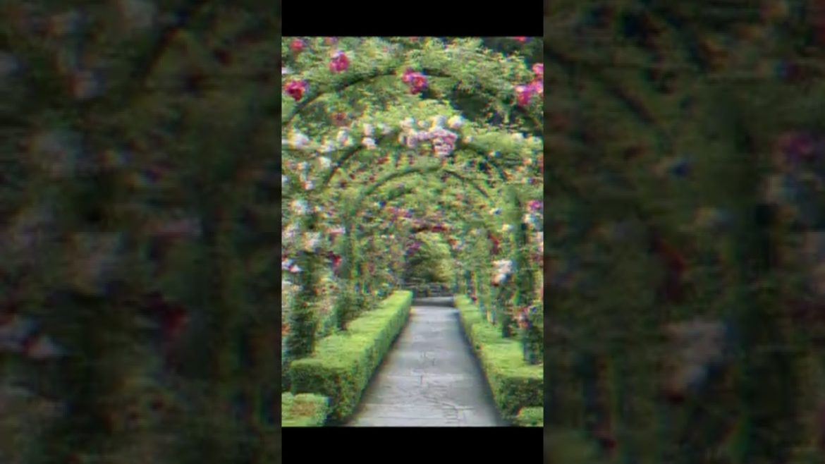 Landscape Desing ideas Best ideas for garden and landscape #56234 #shorts 7 Landscape Desing ideas Best ideas for garden and landscape #56234 #shorts 7
