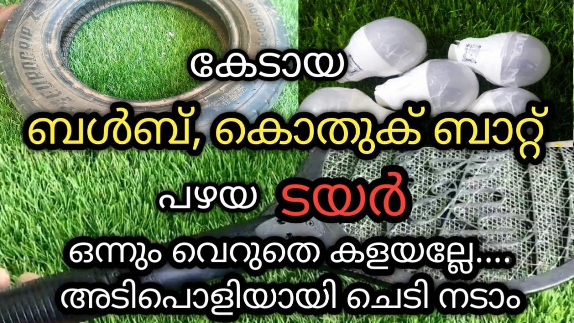 Waste material reuse ideas in garden/gardening ideas for home/gardening/houseplants/ideas