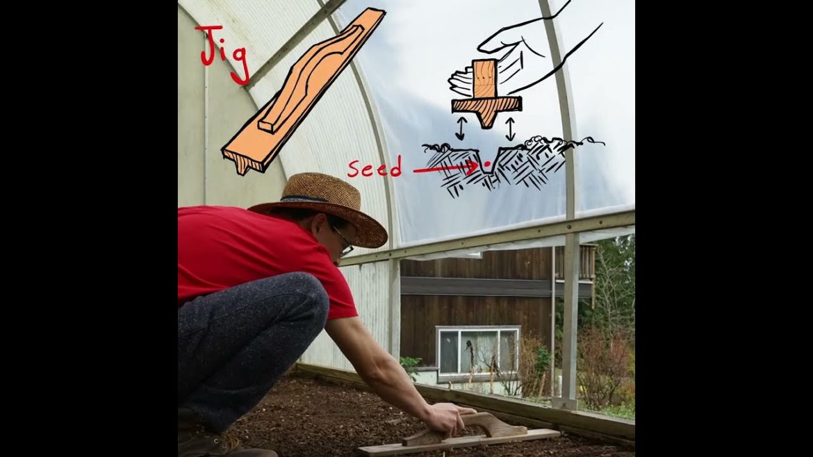 Gardening for beginners   #shorts