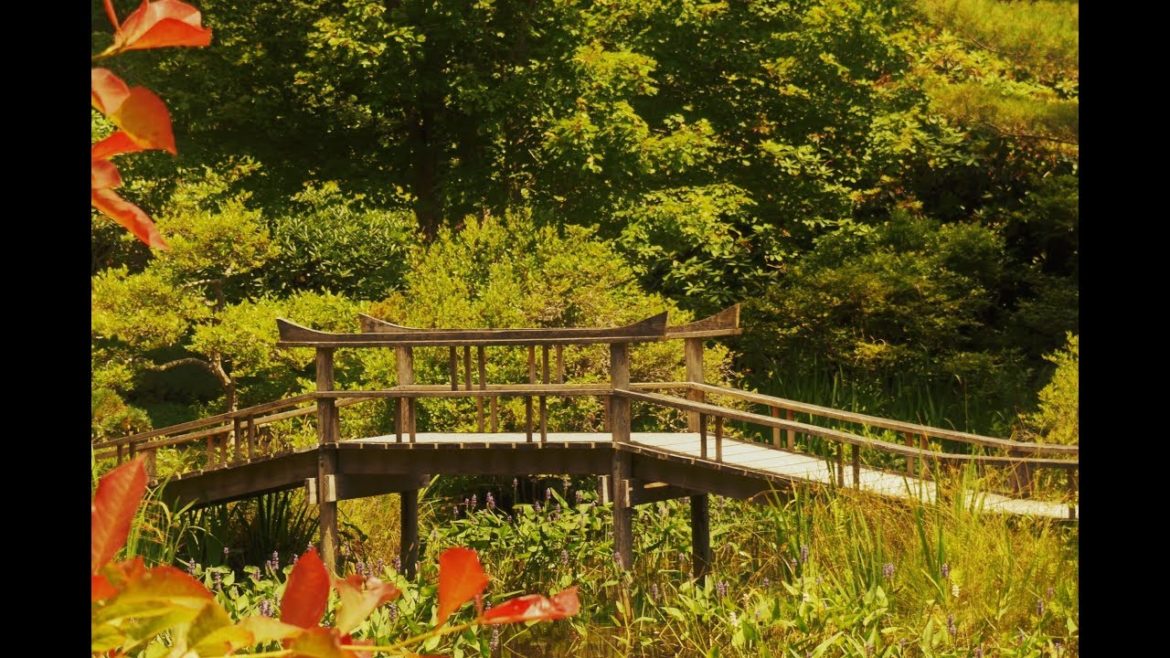 Mytoi Japanese Garden