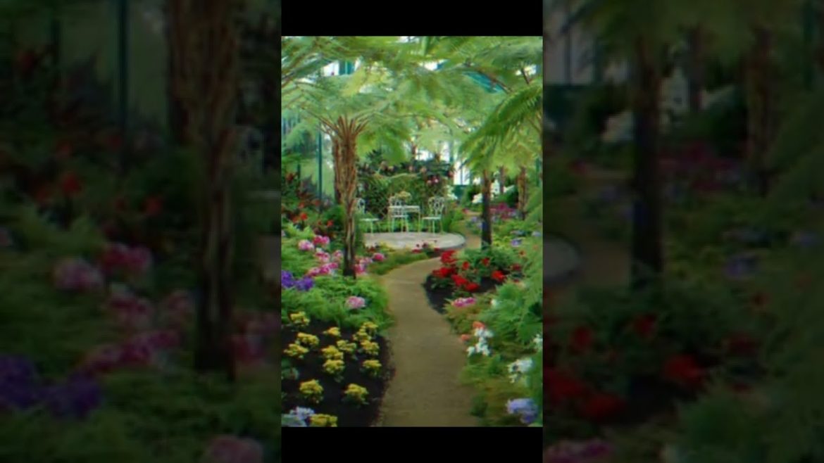 Landscape Desing ideas Best ideas for  garden and landscape #56234 #shorts 4