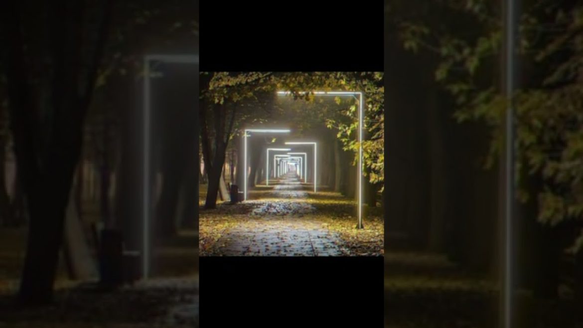 Landscape Desing ideas Best ideas for  garden and landscape #56234 #shorts 11 Landscape Desing ideas Best ideas for  garden and landscape #56234 #shorts 11