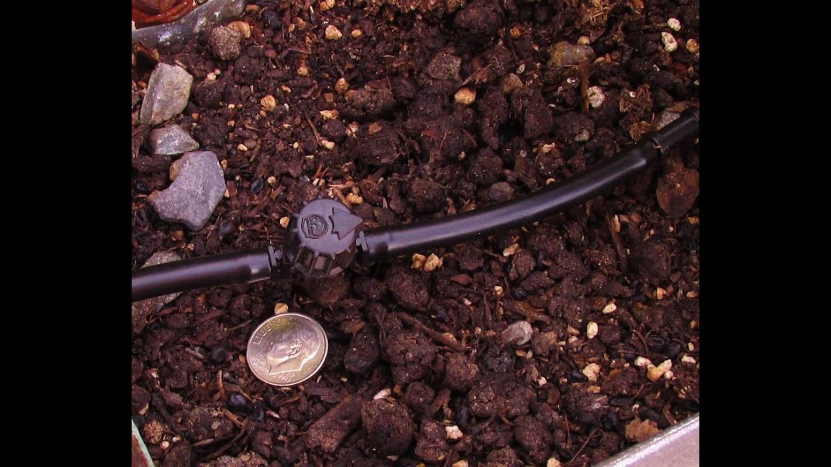 Installing Small Shut Off Valves in Drip Irrigation Tubing by The Gardening Tutor-Mary Frost Installing Small Shut Off Valves in Drip Irrigation Tubing by The Gardening Tutor-Mary Frost