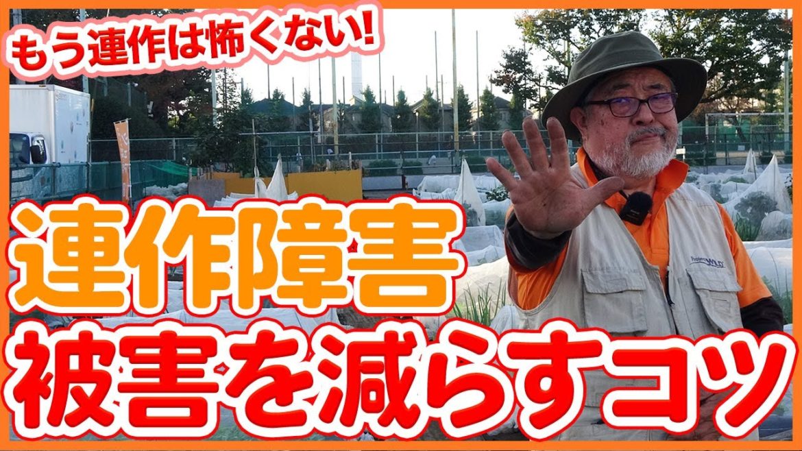 家庭菜園や農園栽培で連作障害は減らせる!?連作は怖くない!考え方や注意点を解説!/Tips to Prevent Cultivation Disorders from Japanese farmers 家庭菜園や農園栽培で連作障害は減らせる!?連作は怖くない!考え方や注意点を解説!/Tips to Prevent Cultivation Disorders from Japanese farmers
