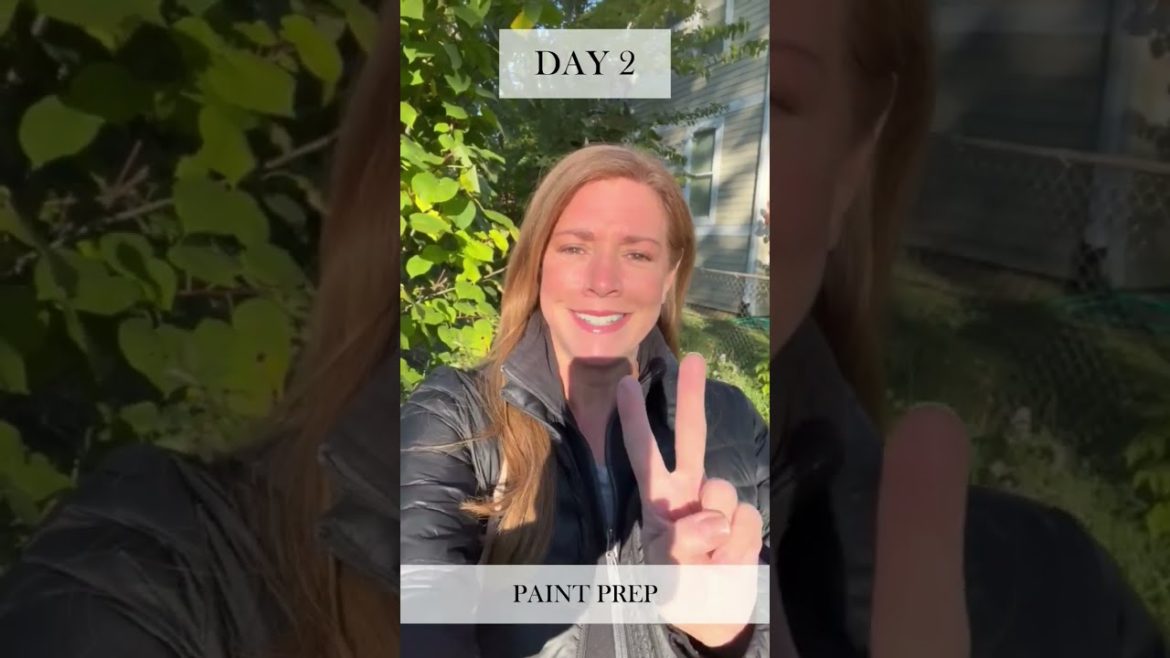 DAY 2 | House Project 🏠 #shorts