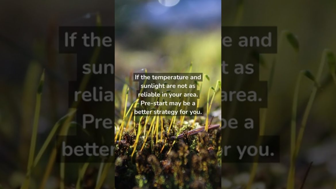 Gardening tips #fall #fallgarden #garden #gardening #gardeningtips #freetips Gardening tips #fall #fallgarden #garden #gardening #gardeningtips #freetips