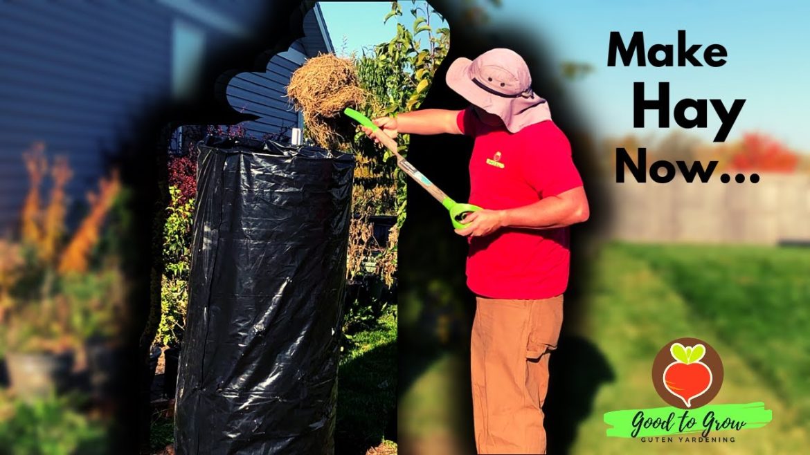 Get your DIY Potato & Sweet Potato Tower ready NOW! Bittersweet Winter Garden Prep Zone 5 Gardening