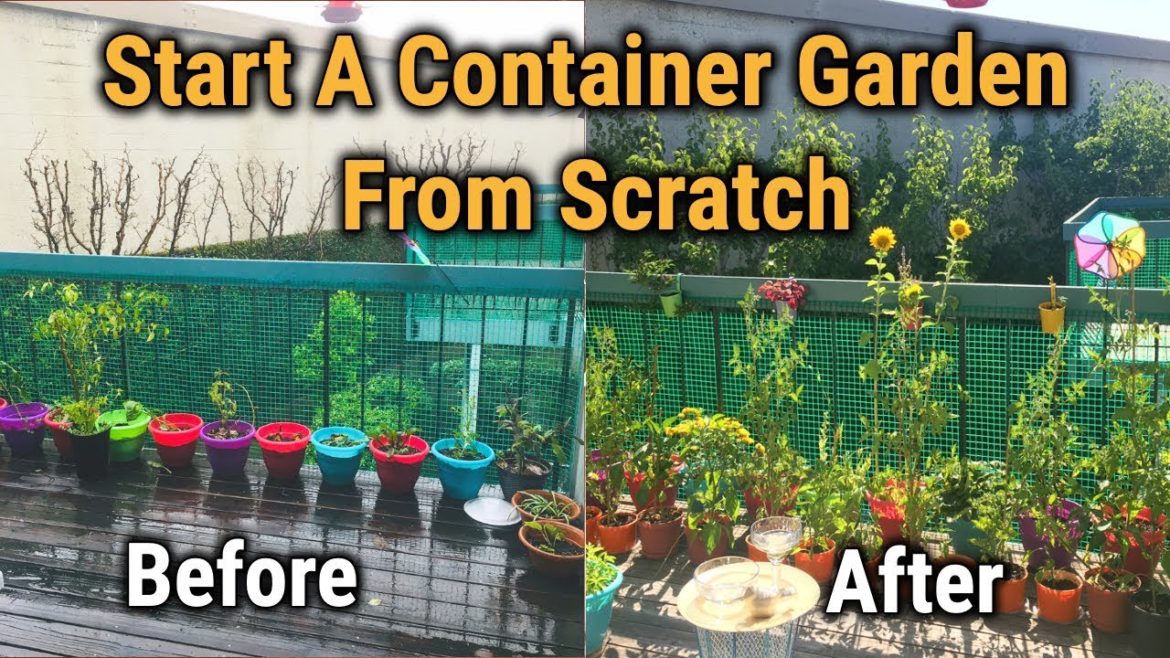 How To Grow a Container Garden from Seeds in Tamil#Beginner Gardener#Gardening Tips# Tamil Vlog 29
