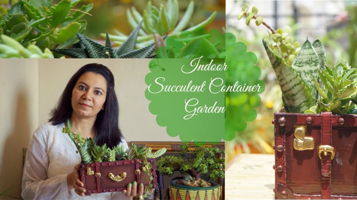 Indoor Succulent Container Garden