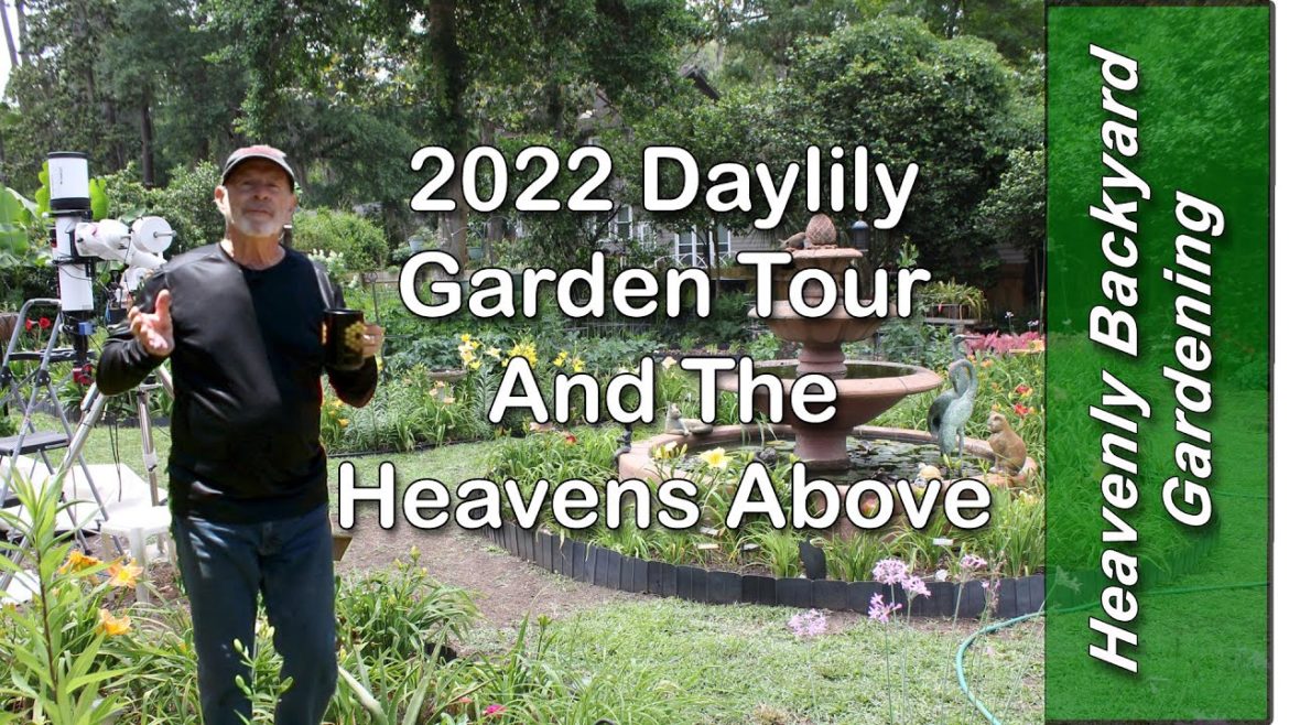 Views from the Heavenly Backyard Garden and at the stars above