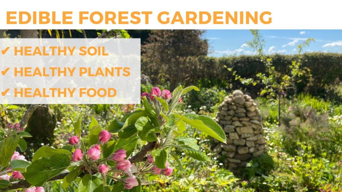 Benefits of an Edible Forest Garden
