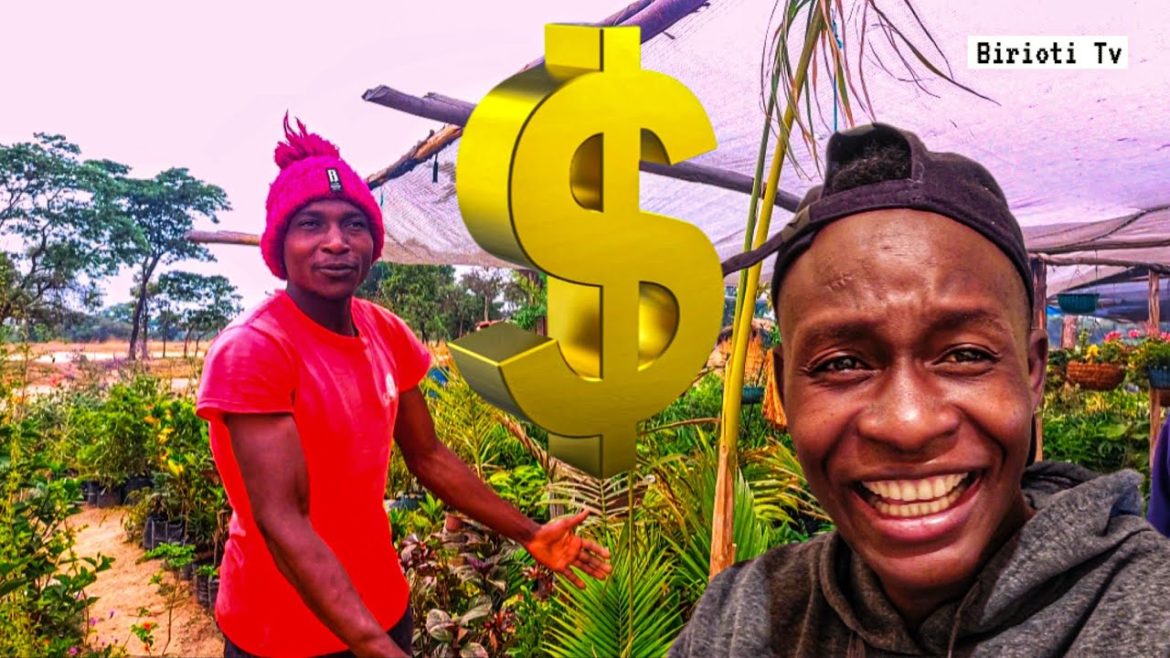 This Zimbabwean Man is making thousands of Dollars by Selling Flowers.
