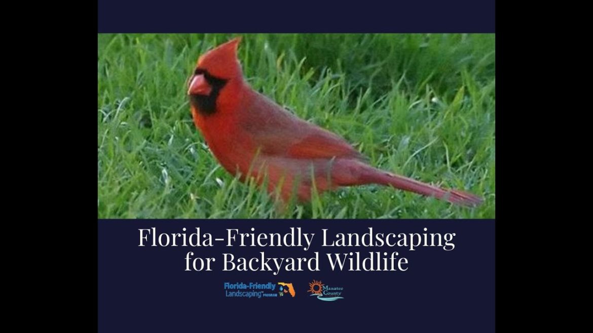 Florida-Friendly Landscaping for Backyard Wildlife