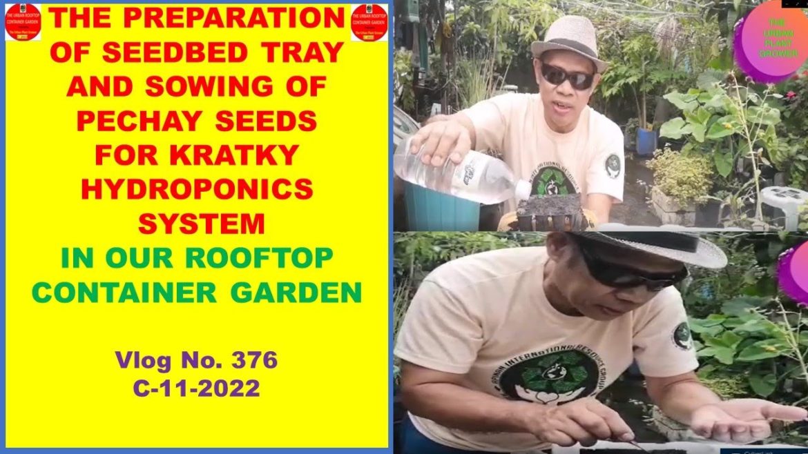 The Preparation of Seedbed Tray and Sowing of Pechay Seeds As Seedlings for Simple Kratky Hydroponic
