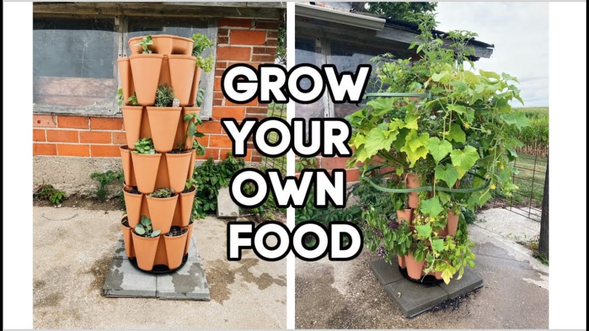 Vertical Gardening - Is it worth it? Complete Review. || Iowa Family Vacation 2020