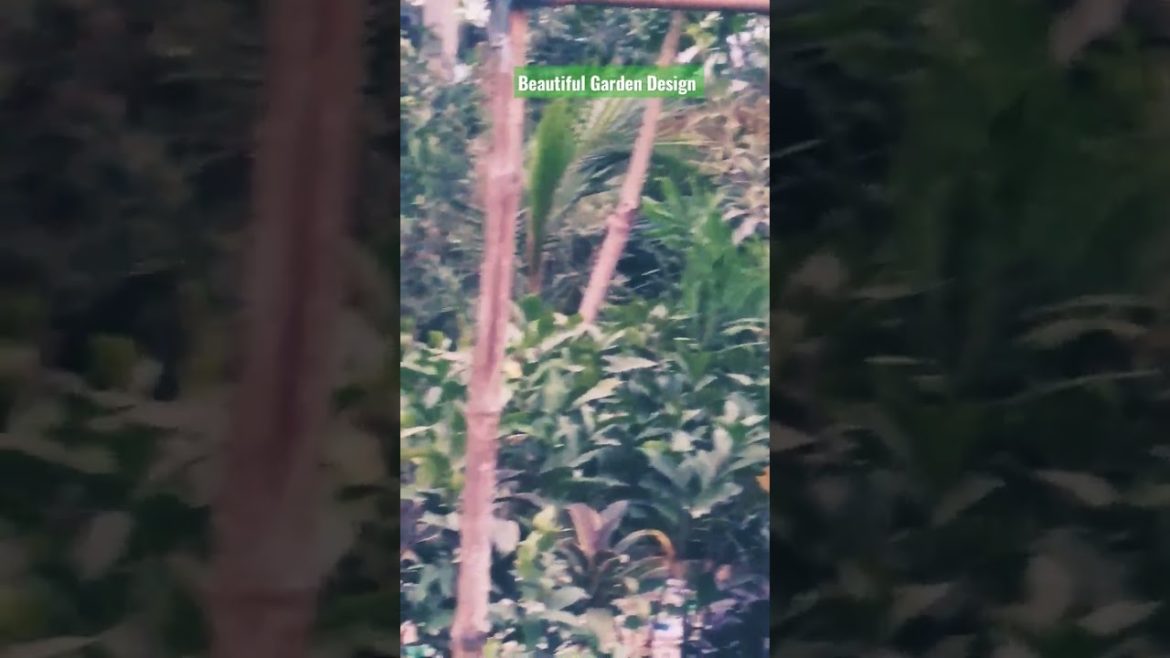 Beautiful Garden Design for all. #shorts Beautiful Garden Design for all. #shorts