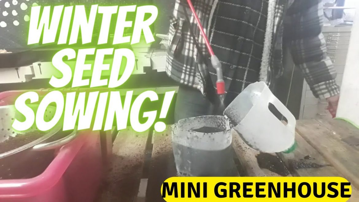 Winter Seed Sowing [Gardening Allotment UK] [Easy Recipes]