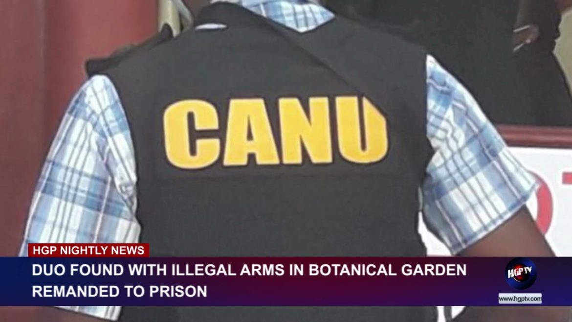 Duo found with illegal arms in Botanical Garden, remanded to prison