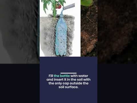 Top Gardening Hacks that You Must Know #shorts Top Gardening Hacks that You Must Know #shorts