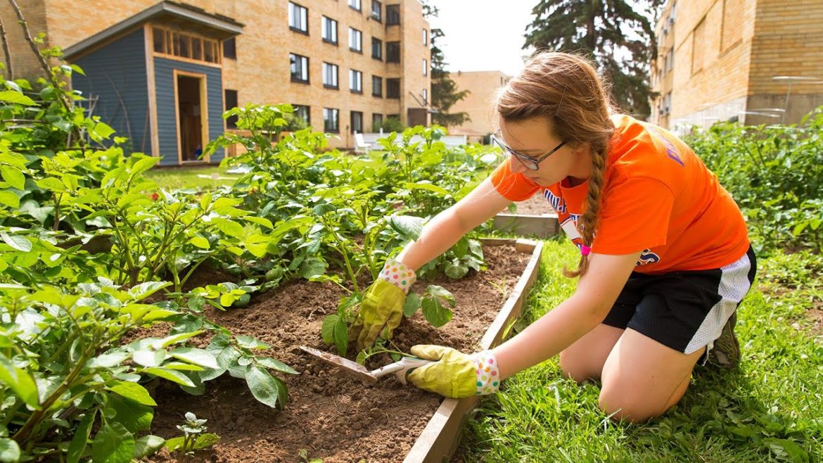 UW-Platteville's Edible Garden
