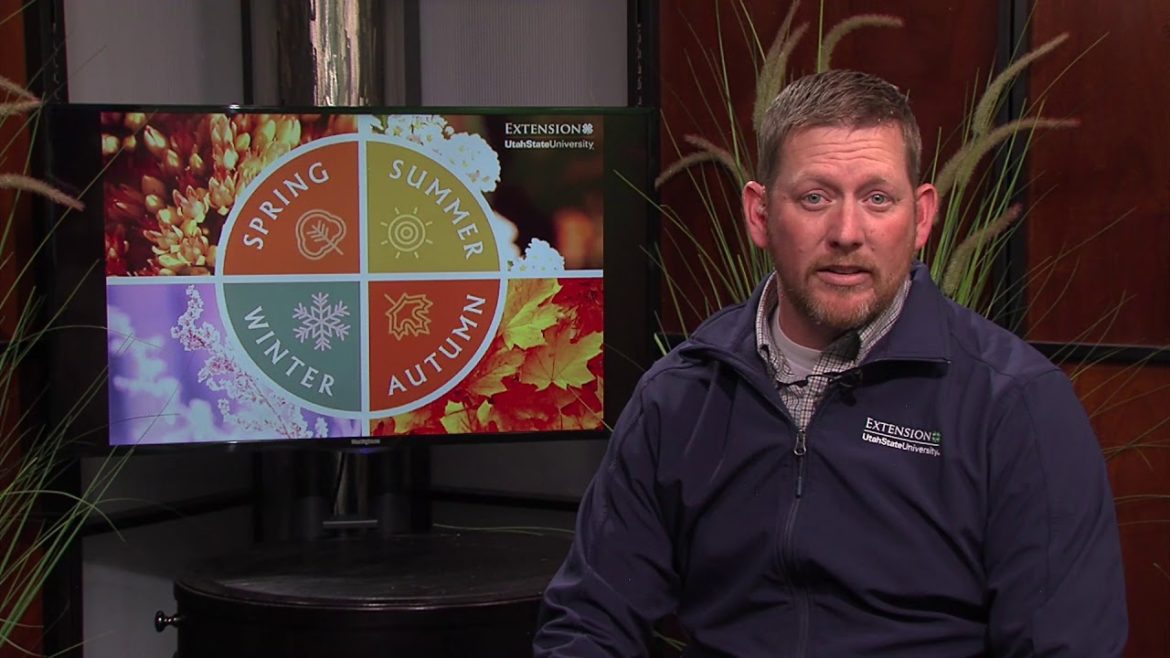 November Gardening Tips