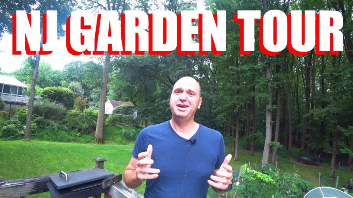 NJ Backyard Garden Tour: Fruits, Vegetables, Compost And Goldfish Pond