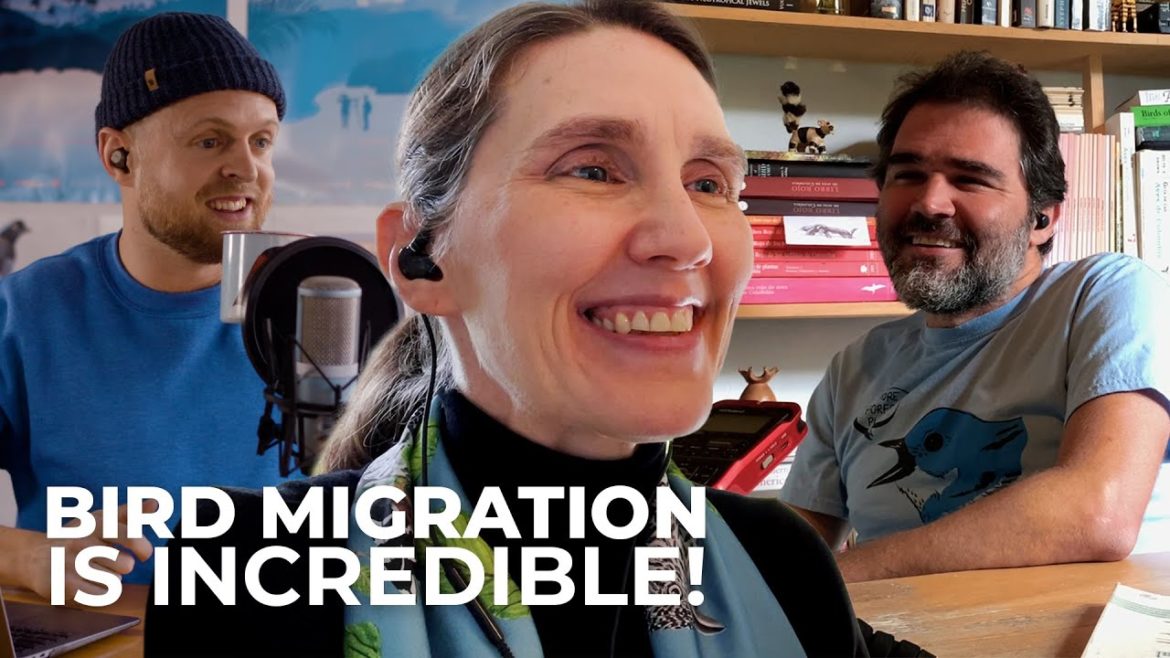 The Miracle of Bird Migration with Audubon's Jill Deppe | Studio Sessions Episode 11