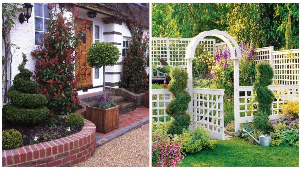 Garden & backyard ideas: decorative plantings! Trees and shrubs in landscape design!