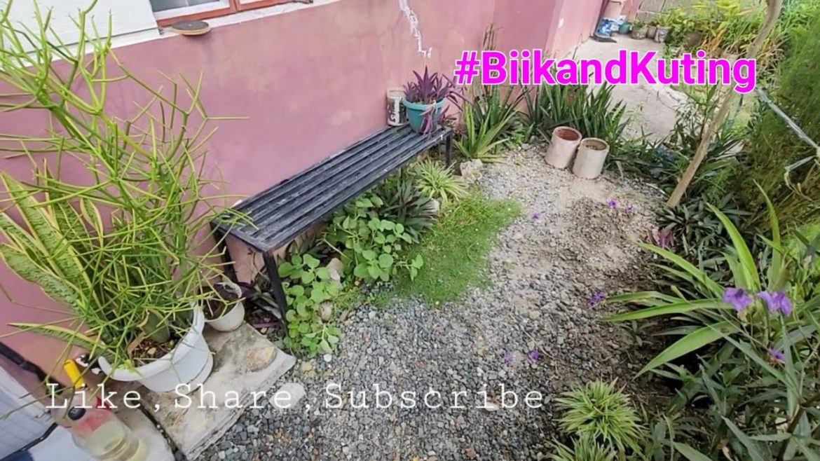 American does cheap landscaping. Renovation to our very tiny yard in Philippines 🇵🇭