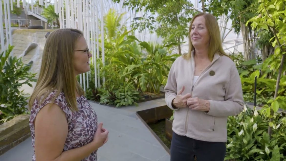 An Update on the Renovation of the Crystal Bridge at Myriad Botanical Gardens