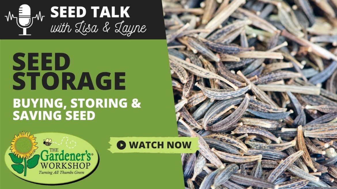 #11 – Seed Storage – Tips for Buying, Storing & Saving Seed #11 - Seed Storage - Tips for Buying, Storing & Saving Seed