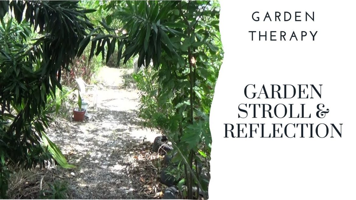 Garden Stroll – Reflecting in the Tropical Garden Garden Stroll - Reflecting in the Tropical Garden