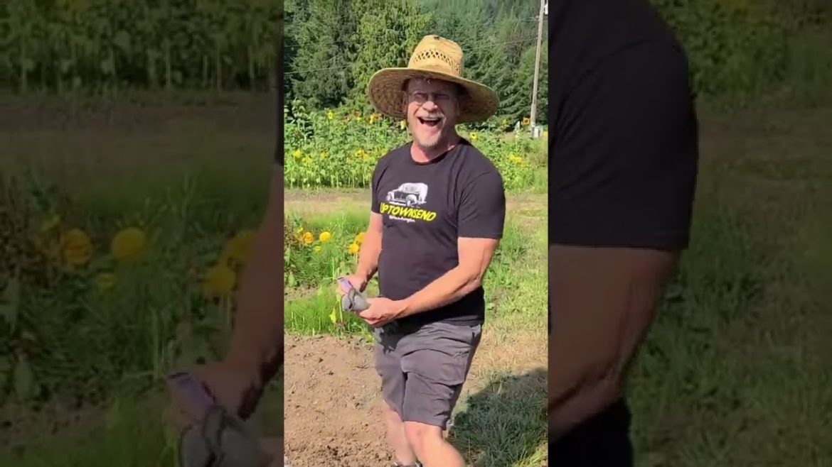 It's Time to Plant Your Fall Garden | Fall Gardening Tips #shorts It's Time to Plant Your Fall Garden | Fall Gardening Tips #shorts