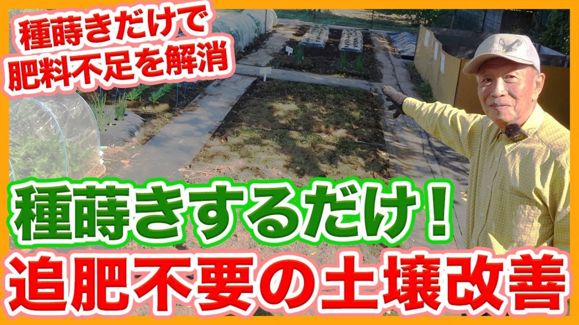 家庭菜園や農園栽培で種蒔きするだけで土壌改善!?冬に開始して春に栄養満点!土壌を肥沃にするコツを徹底解説!【農家直伝】/Tips for fertilizing the growing soil. 家庭菜園や農園栽培で種蒔きするだけで土壌改善!?冬に開始して春に栄養満点!土壌を肥沃にするコツを徹底解説!【農家直伝】/Tips for fertilizing the growing soil.