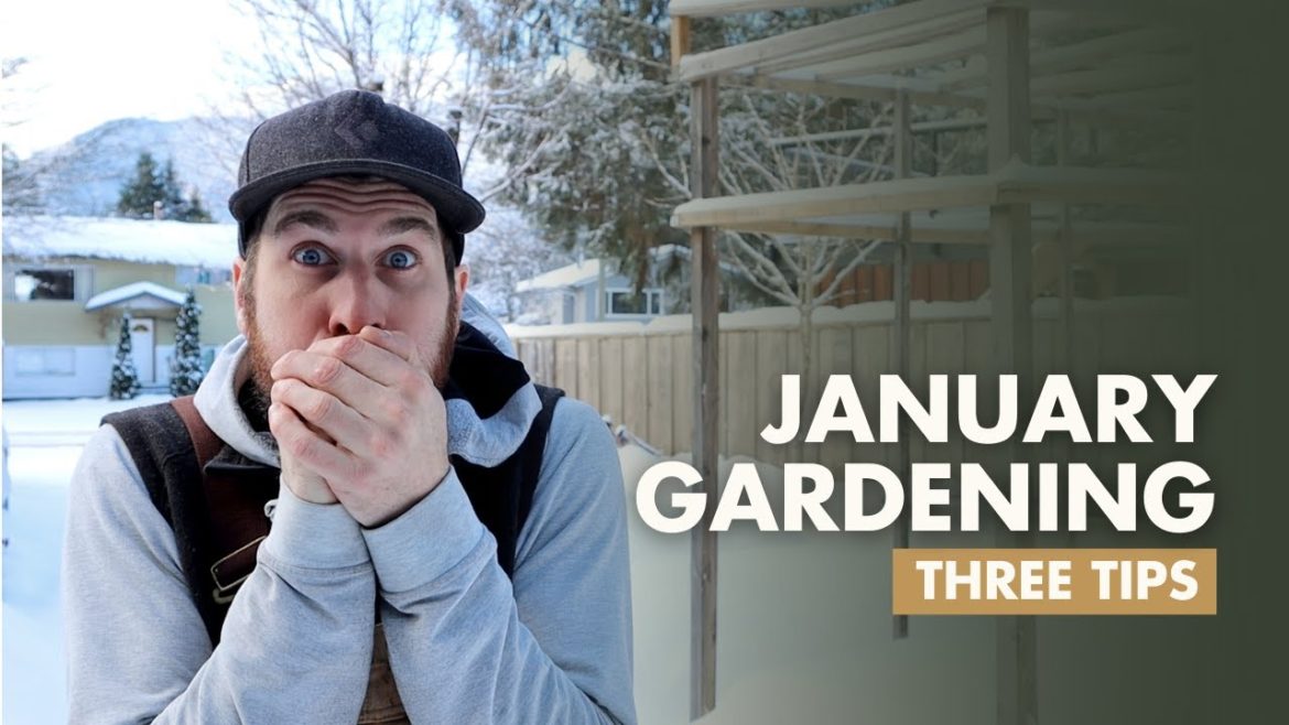 January Gardening Tips January Gardening Tips