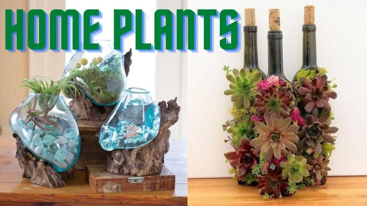 Home Plants and Gardening/Home Decorating Ideas/home interior Design Home Plants and Gardening/Home Decorating Ideas/home interior Design