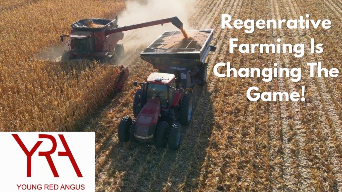 Kansas Farmer Raises 207 Bushel Corn Without Applying Fertilizer!