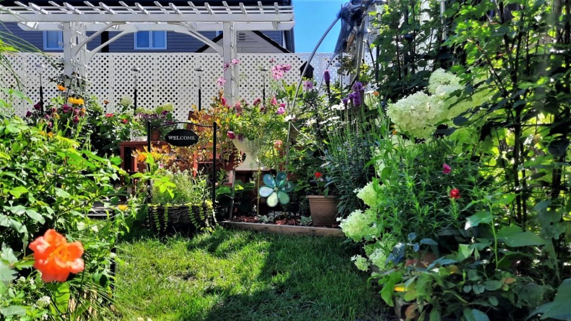 GARDEN TOUR | AUGUST SMALL BACKYARD GARDEN UPDATE | ZONE 5A CANADA