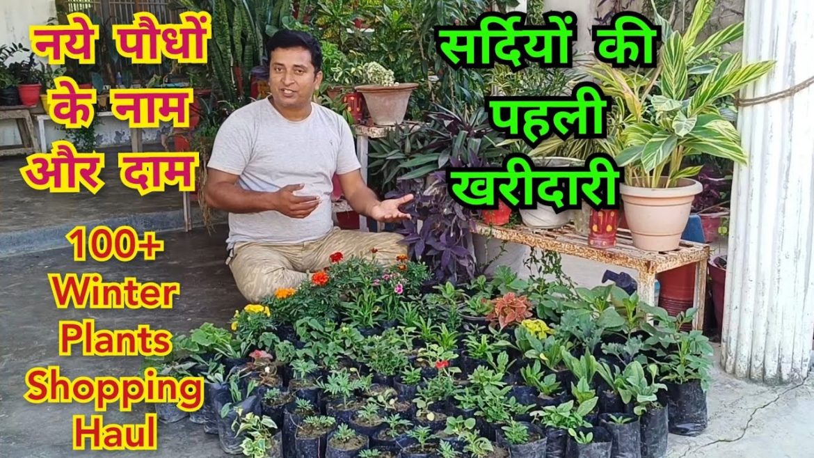 100+ फूलों के पौधों की खरीदारी,my first winter plants shopping haul