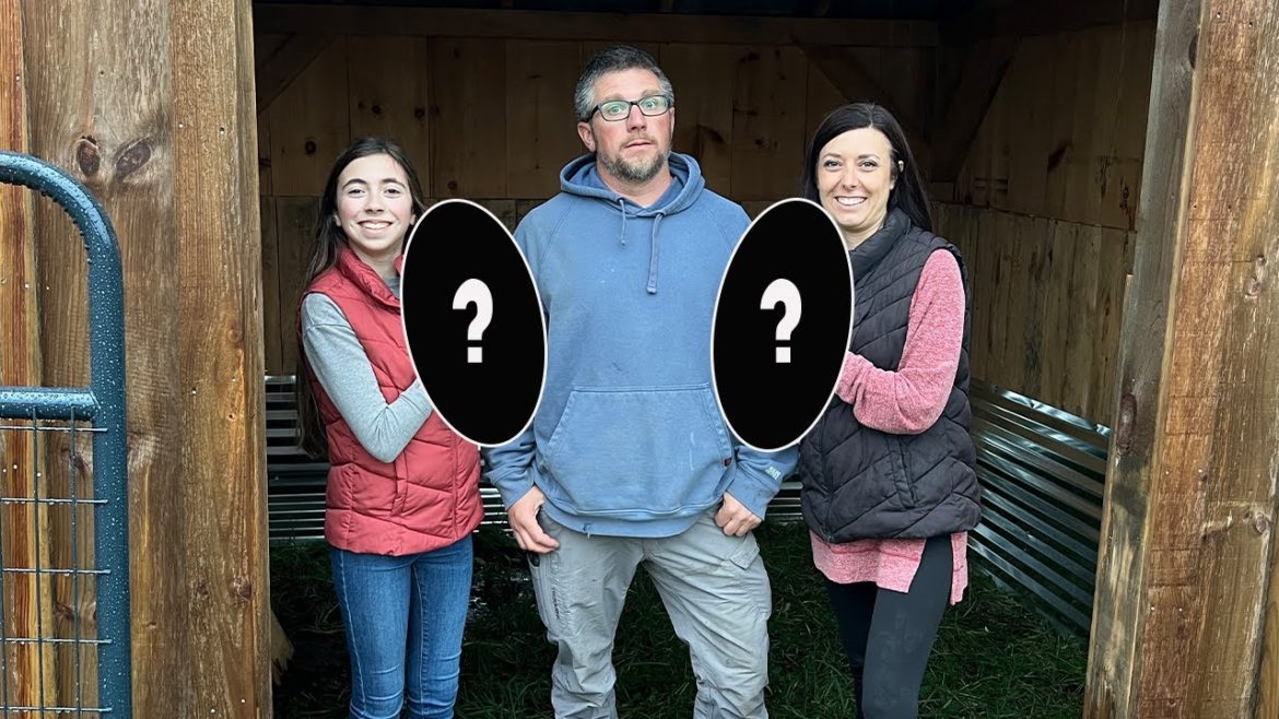 They SAID We NEED Some BARN SECURITY…… Building Our OFF GRID Homestead in the WOODS They SAID We NEED Some BARN SECURITY...... Building Our OFF GRID Homestead in the WOODS